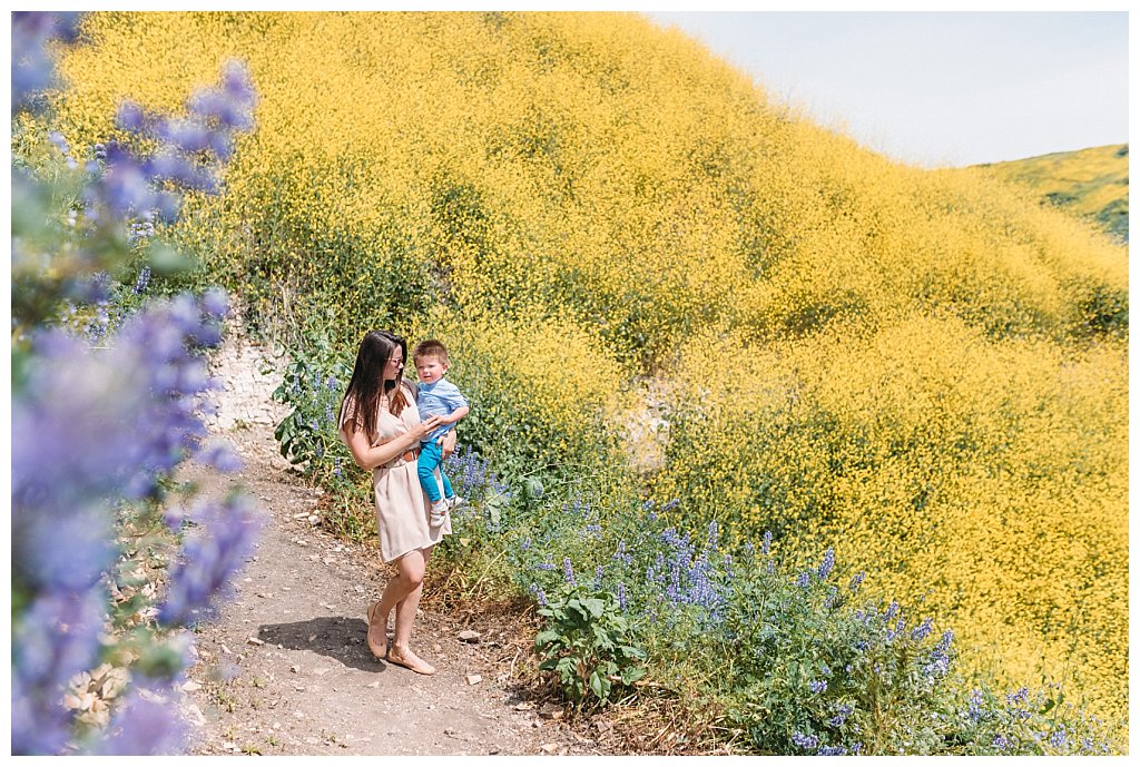 super bloom in thousand oaks, wildflower photo session, poppies in westlake village, poppies in thousand oaks