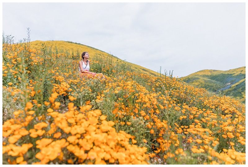 California wildflower super bloom in Thousand Oaks Our fun walk